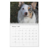 Dog Kalender (Feb 2027)