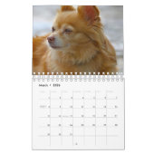 Dog Kalender (Mar 2026)