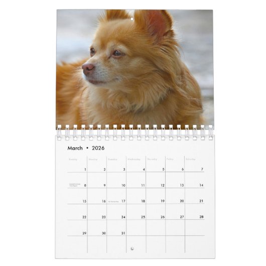 Dog Kalender (Mar 2026)