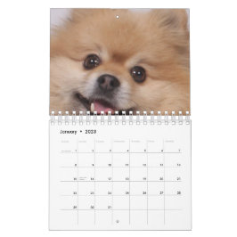 Dog Kalender