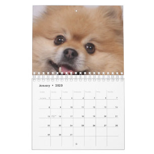 Dog Kalender