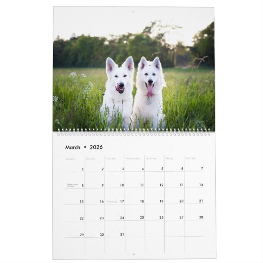 Dog Kalender (Mar 2026)