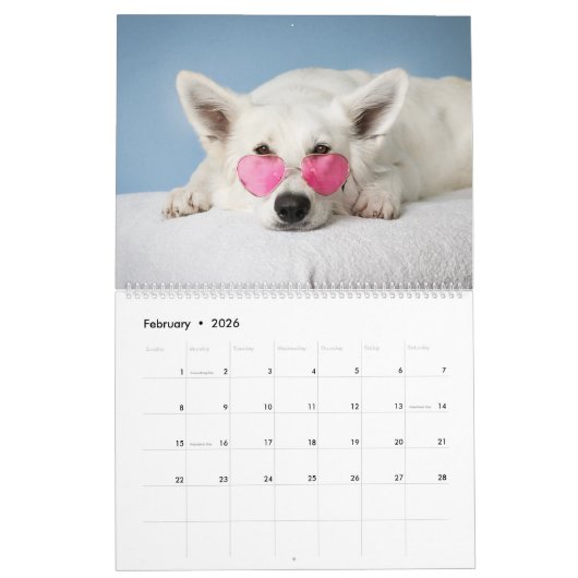 Dog Kalender (Feb 2026)