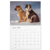 Dog Kalender (Jan 2027)