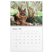 Dog-kalender met een ander ras per maand kalender (Feb 2027)