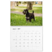 Dog-kalender met een ander ras per maand kalender (Mar 2027)
