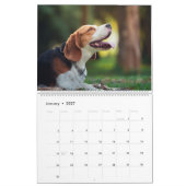 Dog-kalender met een ander ras per maand kalender (Jan 2027)