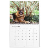 Dog-kalender met een ander ras per maand kalender (Feb 2026)
