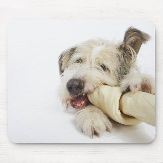 Dog Kauwt op Rawhide Bone Muismat (Voorkant)