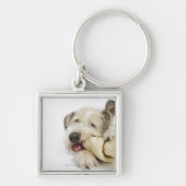 Dog Kauwt op Rawhide Bone Sleutelhanger (Voorkant)