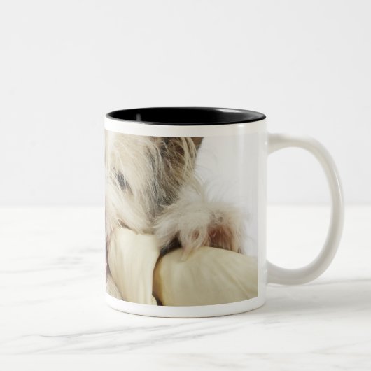 Dog Kauwt op Rawhide Bone Tweekleurige Koffiemok (Rechts)