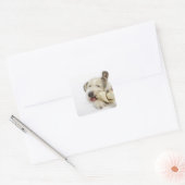 Dog Kauwt op Rawhide Bone Vierkante Sticker (Envelop)
