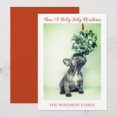 Dog kerstfeestkaarten (Voorkant / Achterkant)