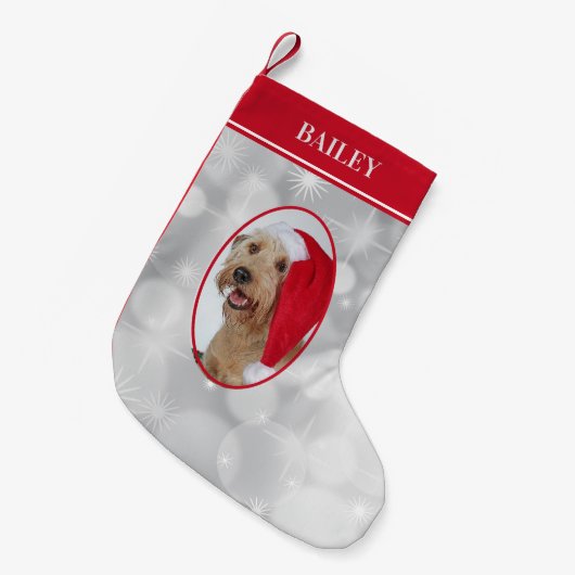 Dog-kerstfoto Kleine Kerstsok (Voorkant (Hangend))