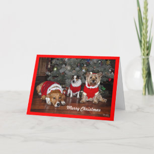 Dog-kerstkaart Feestdagen Kaart