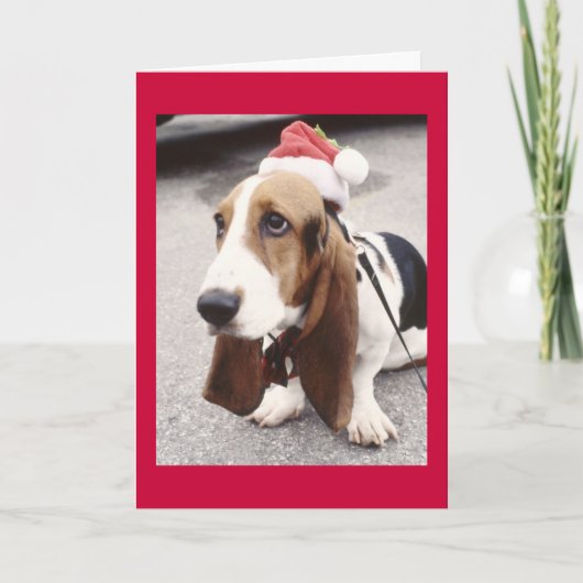 Dog-kerstkaart Feestdagen Kaart (Voorkant)