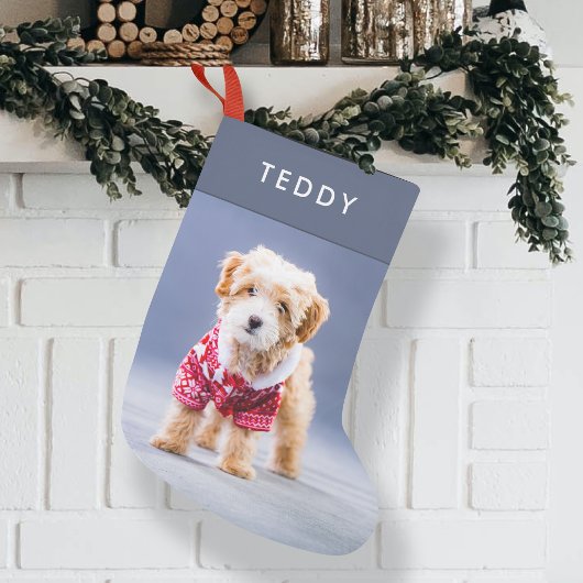 Dog Kerstmis | Modern Cute Blue Pet Photo Small Kleine Kerstsok