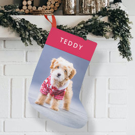 Dog Kerstmis | Moderne Cute Red Pet-foto Kleine Kerstsok