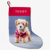 Dog Kerstmis | Moderne Cute Red Pet-foto Kleine Kerstsok (Voorkant)