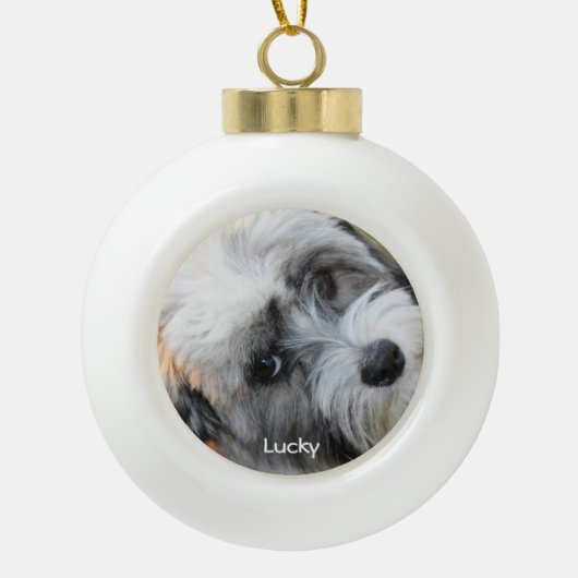 Dog kerstsieraards Ceramic Ball Custom Photo Keramische Bal Ornament (Voorkant)