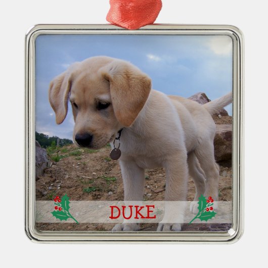 Dog kerstversients Metal Custom Photo Metalen Ornament (Voorkant)
