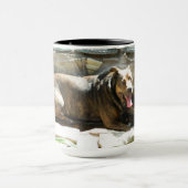 Dog Koeling in water Mok (Midden)