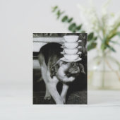  Dog-kopjes met snijkop en schaar op neus Briefkaart (Staand voorkant)