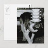  Dog-kopjes met snijkop en schaar op neus Briefkaart (Voorkant / Achterkant)