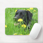 DOG LABRADOR RETRIEVER BLACK MUISMAT (Met muis)