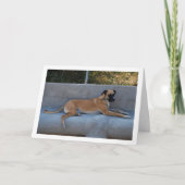 Dog Lade Portret Kaart (Voorkant)