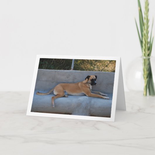 Dog Lade Portret Kaart (Voorkant)