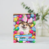 Dog Laying on Easter Eggs Briefkaart (Staand voorkant)