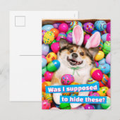 Dog Laying on Easter Eggs Briefkaart (Voorkant / Achterkant)