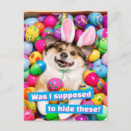 Dog Laying on Easter Eggs Briefkaart (Voorkant)