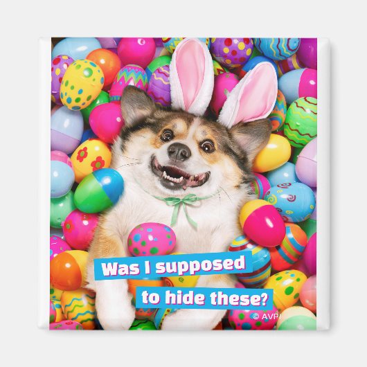 Dog Laying on Easter Eggs Magneet (Voorkant)