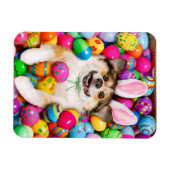Dog Laying on Easter Eggs Magneet (Horizontaal)