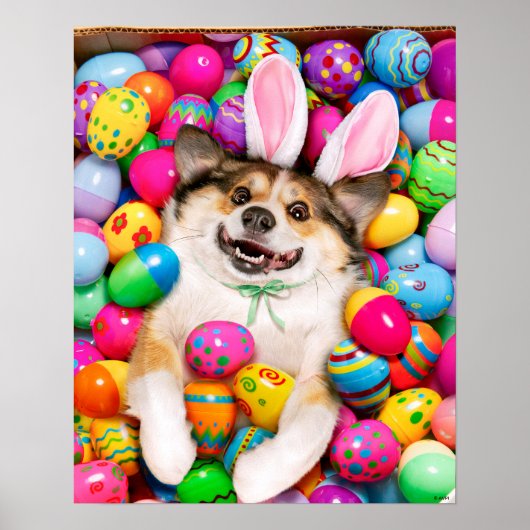 Dog Laying on Easter Eggs Poster (Voorkant)