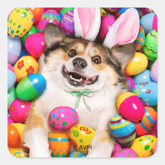 Dog Laying on Easter Eggs Vierkante Sticker (Voorkant)