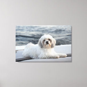 Dog leggen door het water canvas afdruk