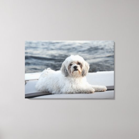 Dog leggen door het water canvas afdruk (Voorkant)