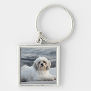Dog leggen door het water sleutelhanger