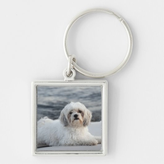 Dog leggen door het water sleutelhanger (Voorkant)