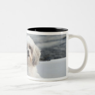Dog leggen door het water tweekleurige koffiemok