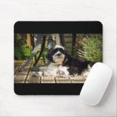 Dog legt op het bedwelmen in de zon muismat (Met muis)