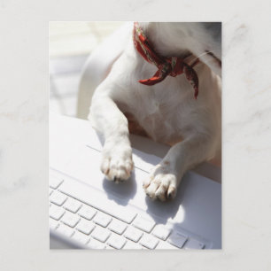 Dog legt zijn handen op een laptop briefkaart