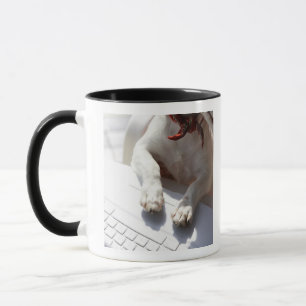 Dog legt zijn handen op een laptop mok