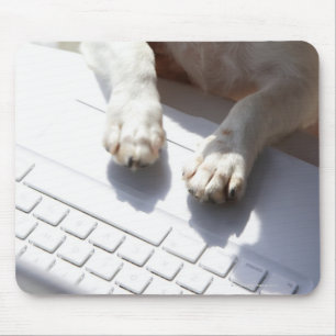 Dog legt zijn handen op een laptop muismat