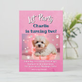 Dog Let's Party Birthday  Feestdagenkaart (Staand voorkant)