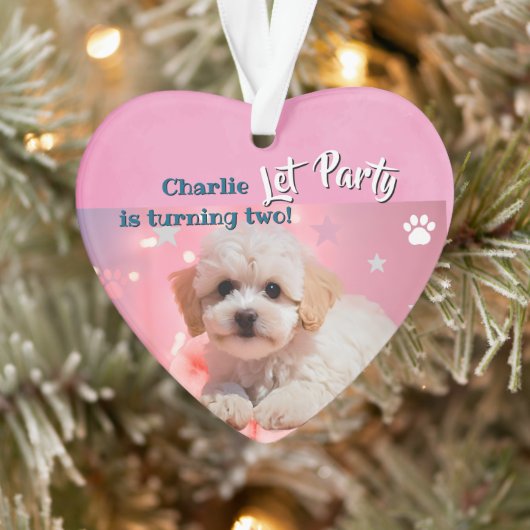 Dog Let's Party Birthday  Ornament (Boom)