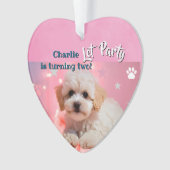 Dog Let's Party Birthday  Ornament (voorkant)